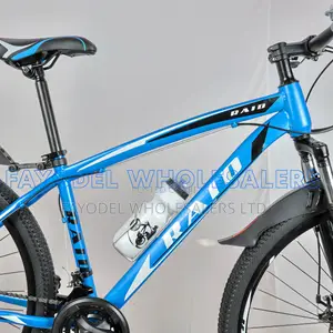 Raid 29er Sports Bike With Suspension