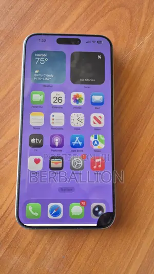 Apple iPhone 15 Pro Max 256 GB Silver