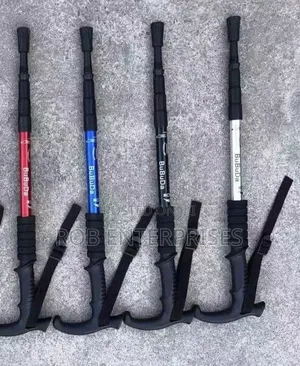 Hiking Pole