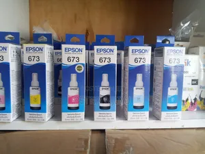 Epson 673 Genuine Ink(Exceed Your Vision)