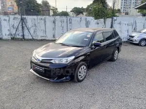 Toyota Corolla Fielder 2018 Black