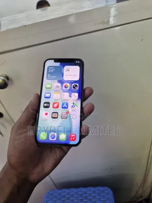 Apple iPhone 12 Pro 256 GB Gray