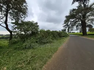 3 Acres of Land for Sale in Riara Ridge,Tigoni at KSHS