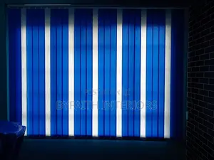 Beautiful Window Blinds