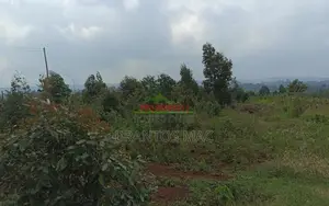 2 Acres in Ndeiya Tiekunu on Urgent Sale