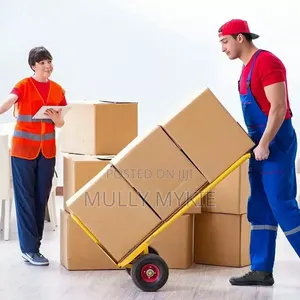Professional Movers Services