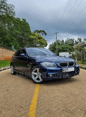 BMW 318i 2011 Blue