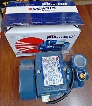 Heavy Duty Electric Pedrollo Water Pump Pkm60