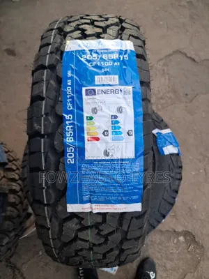 205/65r15 Comforser