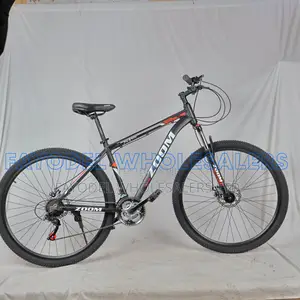 Zoom 29-Inch Mountain Bike
