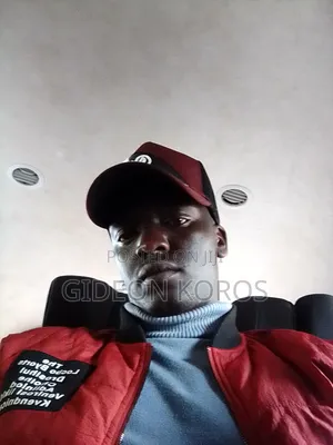 Driver Job
