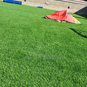 Best Artificial Grass Carpet for Home Landscaping