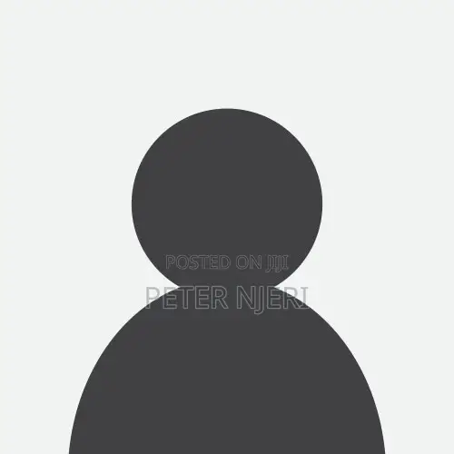 It Assistant