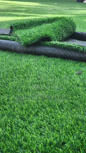 Premium Turf Grass for Compound Garden Renovation