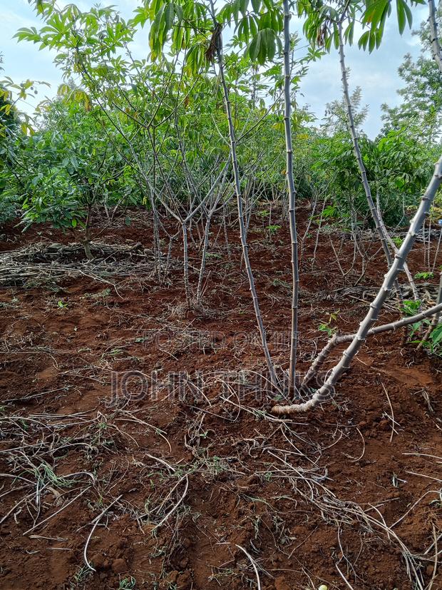 Land Kutus-Kerugoya 1⁄8 Acre - thumbnail 7