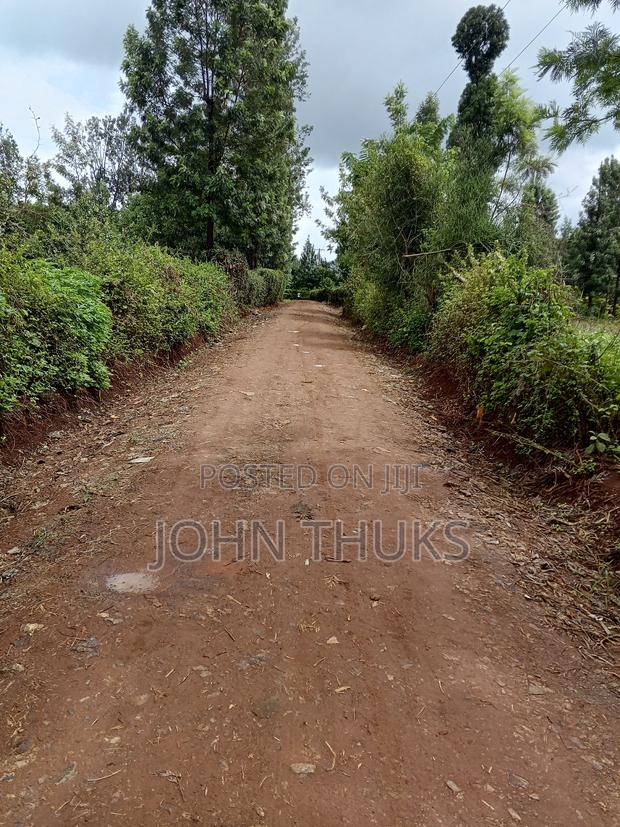 Land Kutus-Kerugoya 1⁄8 Acre - thumbnail 8
