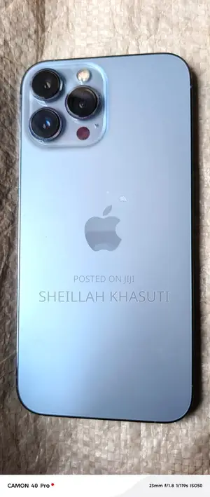 Apple iPhone 13 Pro Max 256 GB Blue