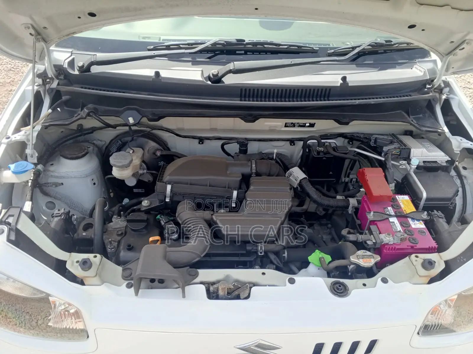 Suzuki Alto 2018 White