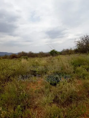 5 Acres Prime Land Enkanasa Kajiado Touches Tarmac on Sale!