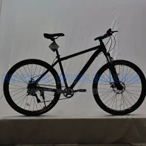 Premium Trinx 29-Inch MTB