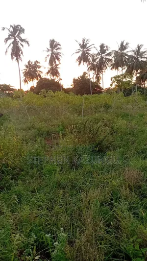 1/4 Acre Plot At Ganja La Simba, Near Kinondo Town