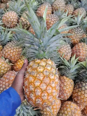 Fresh Pineapple for Sale in Wholesale (1 Pineapple Is 2kg) 1kg at 60ksh