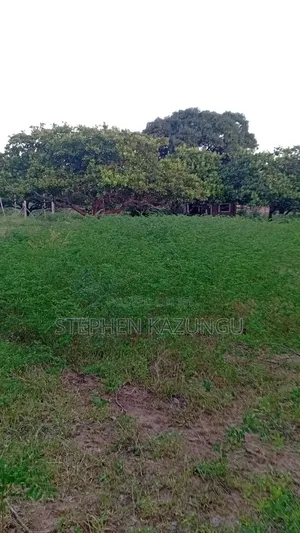 1 Acre Plot on Sale at Ganja La Simba Near Kinondo/Mwabungo Areas.