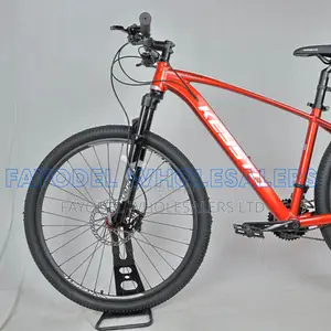 Keysto Performance 29er Bicycle – Built for Speed and Comfort