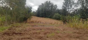 1 1⁄4 Acre Agricultural Land in Kirinyaga Nyangati