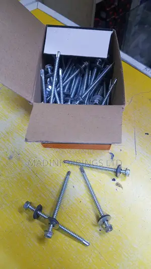Roofing Screws (Steel Self Drilling Screws in Various Sizes)