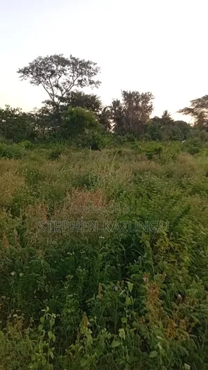 1/4 Acre Plot at Ganja La Simba Near the Road, and Close to Kinondo.