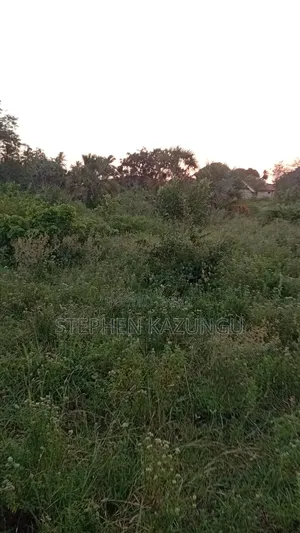 1/2 Acre Plot at Ganja La Simba Near to Kinondo/Mwabungo Towns