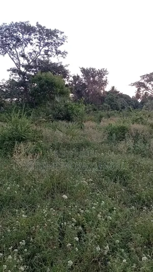 1 Acre Plot at Ganja La Simba, Close to the Road and Good Essentials