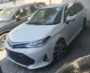 Toyota Corolla Fielder 2019 White