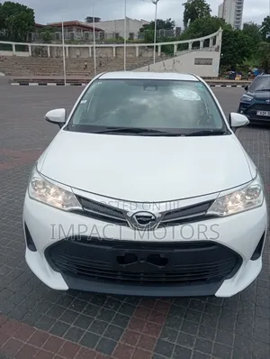 Toyota Corolla Fielder 2019 White