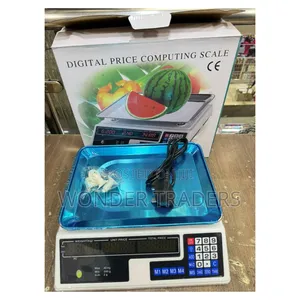 Armless Digital Scale 40kg