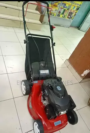 Powerful Astramilano Lawn Mower