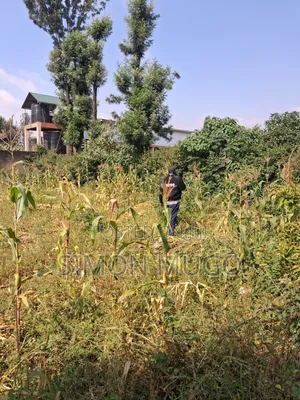 Thome 1 Estate Prime Well Drained Red Soil 1/2 Ac on Mugumoini Ave.