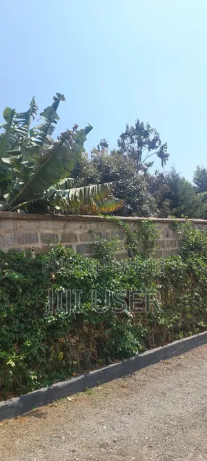 Plot In Ukunda Diani
