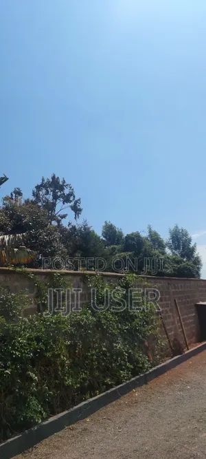 Plot In Ukunda Diani