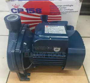 Pedrollo Water Pump
