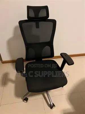 Reclinable Orthopedic Mesh Chair.
