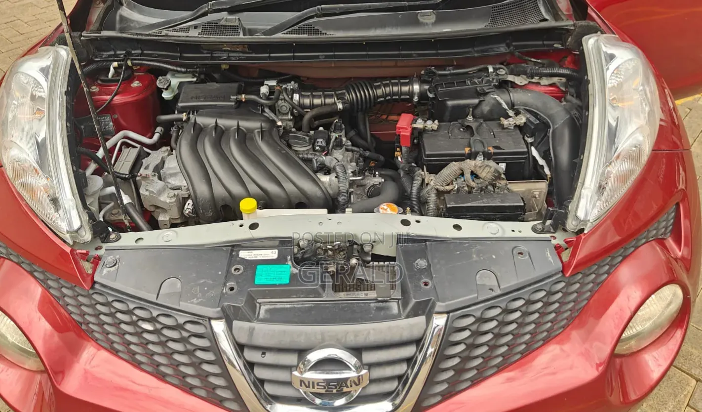 Nissan Juke 2011 Red