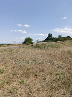 Land for Sell