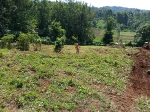 Distress! Very Prime 100 by 100 Plot in a Gated Estate, Matasia,Ngong