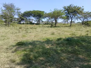 Commercial One Acre on the Highway Near Friend's Corner Hotel Kiserian