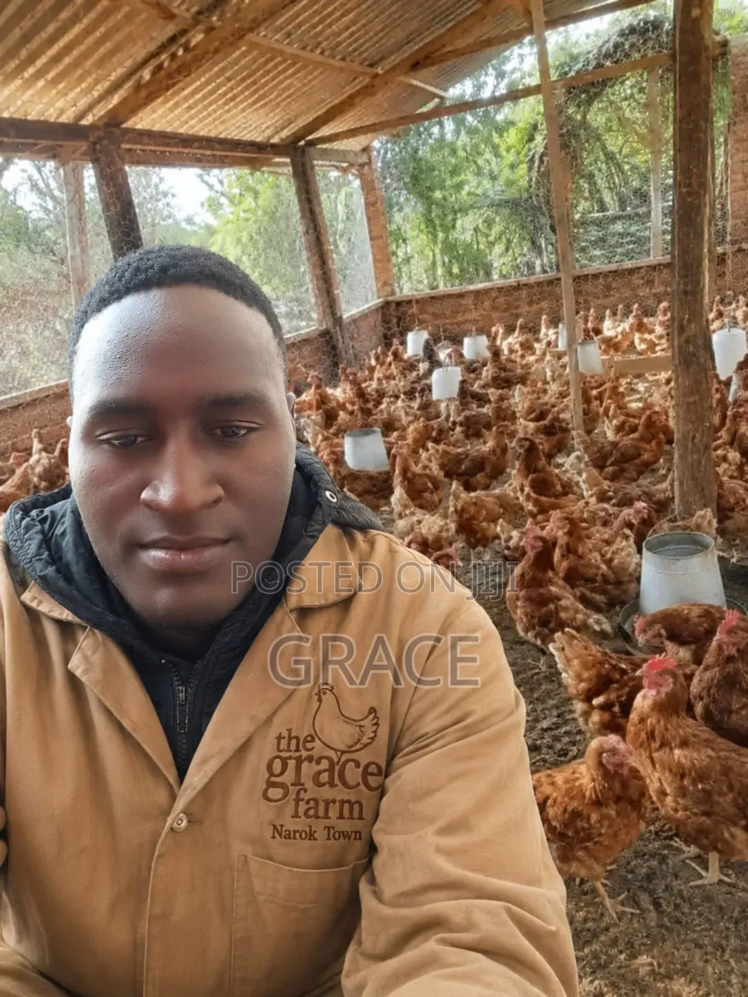 Poultry Farm Manure