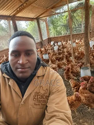 Poultry Farm Manure