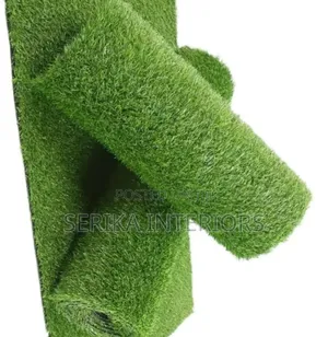Green Grass Carpets Grass Carpets Environmental Friendly Robertson's