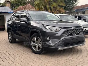 Toyota RAV4 LE AWD 2020 Gray